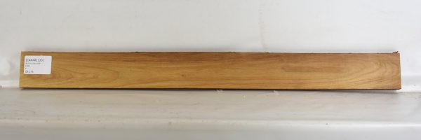 Canarywood - Image 2
