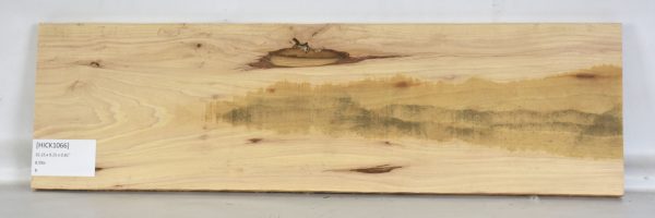 Hickory