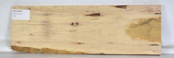 Hickory