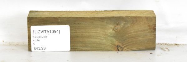 Lignum Vitae - Argentine - Image 2