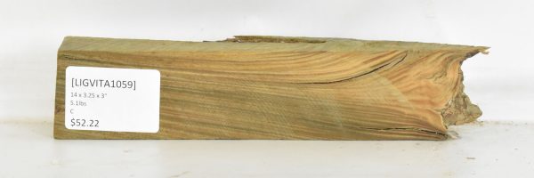 Lignum Vitae - Argentine