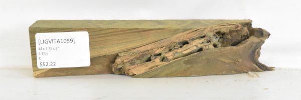 Lignum Vitae - Argentine - Image 2