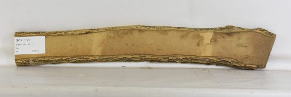 Boxwood - Image 2
