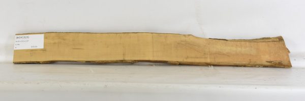 Boxwood - Image 2