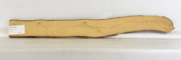Boxwood - Image 2