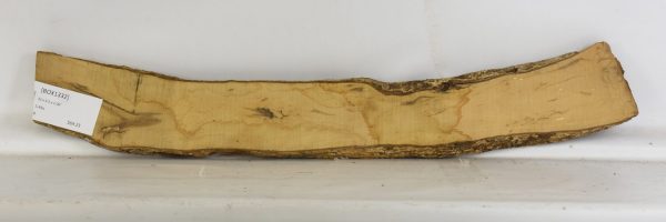 Boxwood - Image 2