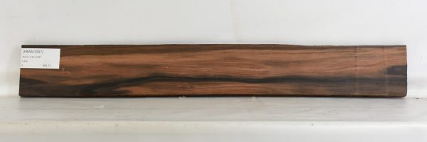Ebony - Amara - Image 2