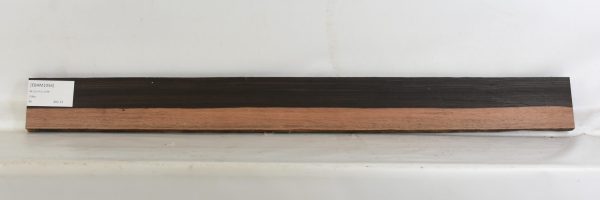 Ebony - Amara - Image 2