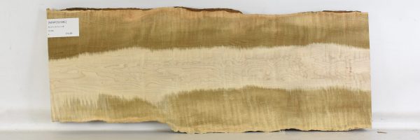 Maple - Soft Curly - Image 2