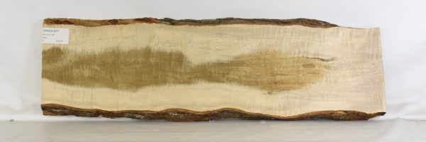 Maple - Soft Curly - Image 2