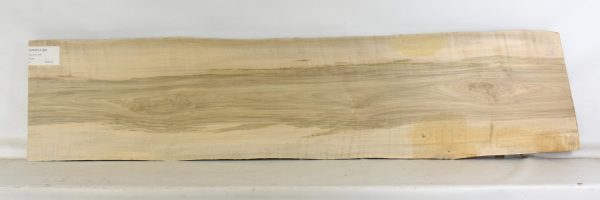 Maple - Soft Curly
