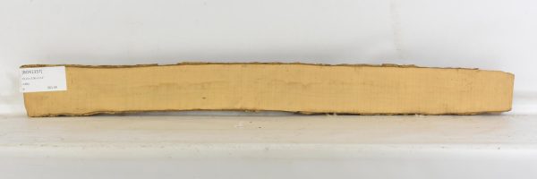Boxwood - Image 2