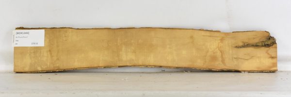 Boxwood - Image 2