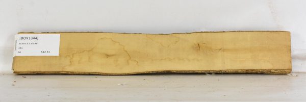 Boxwood - Image 2