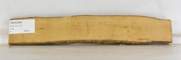 Boxwood