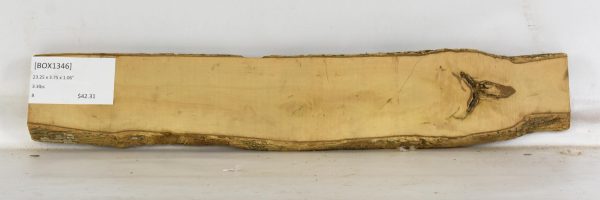 Boxwood - Image 2
