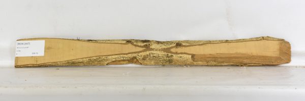 Boxwood - Image 2
