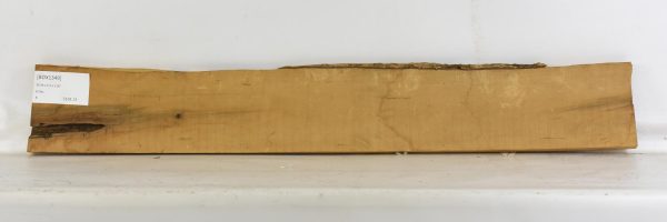 Boxwood - Image 2