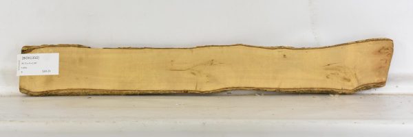 Boxwood - Image 2