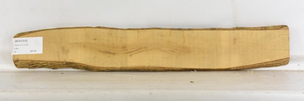 Boxwood - Image 2