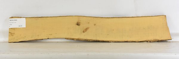 Boxwood - Image 2