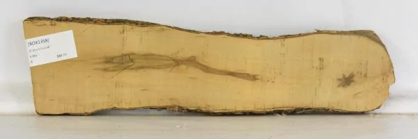 Boxwood