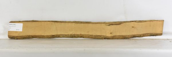 Boxwood - Image 2