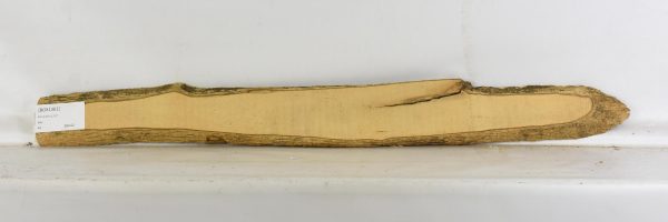 Boxwood - Image 2