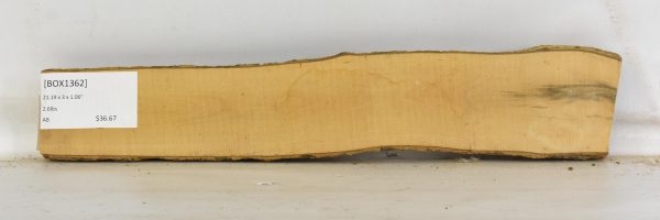 Boxwood - Image 2