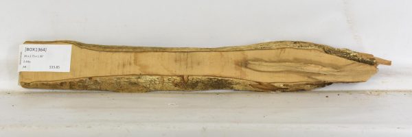 Boxwood - Image 2