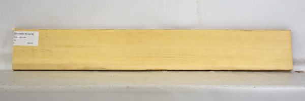 Cedar - Alaskan
