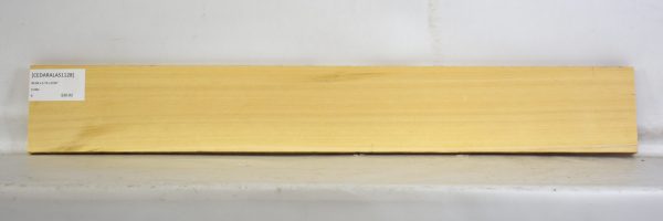 Cedar - Alaskan - Image 2