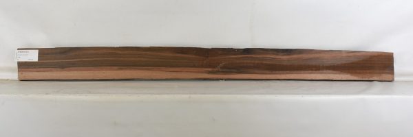 Ebony - Amara - Image 2
