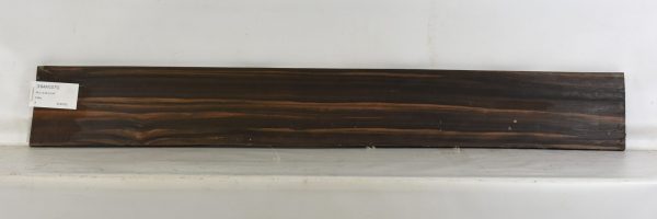 Ebony - Amara - Image 2