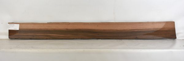Ebony - Amara - Image 2
