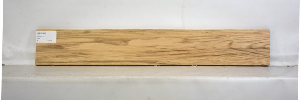ASH1106_2