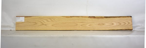 ASH1109_2