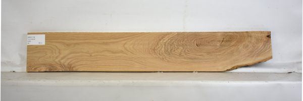 ASH1119_1