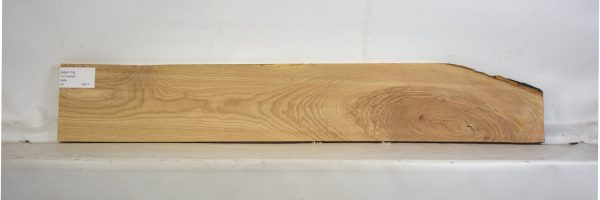 ASH1119_2