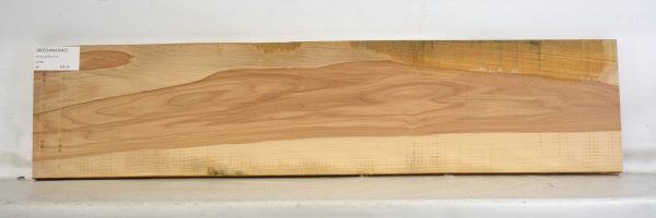 Beech - American