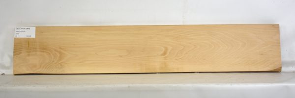 Beech - American - Image 2