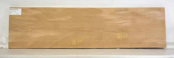Beech - American - Image 2