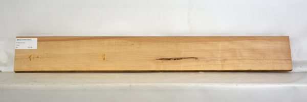 Beech - American - Image 2