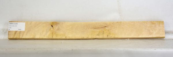 BIRFL1123_1