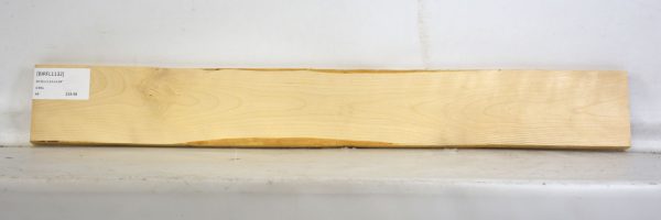 BIRFL1132_2