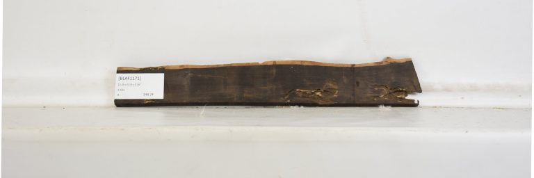 BLAF1171_1