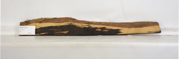 BLAF1172_1