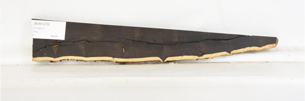 BLAF1173_2