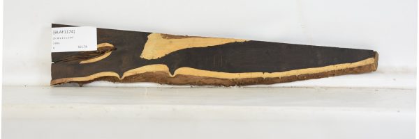 BLAF1174_1