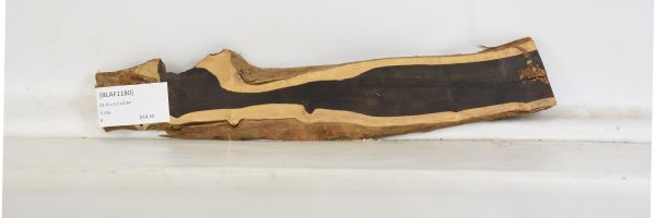 BLAF1180_1